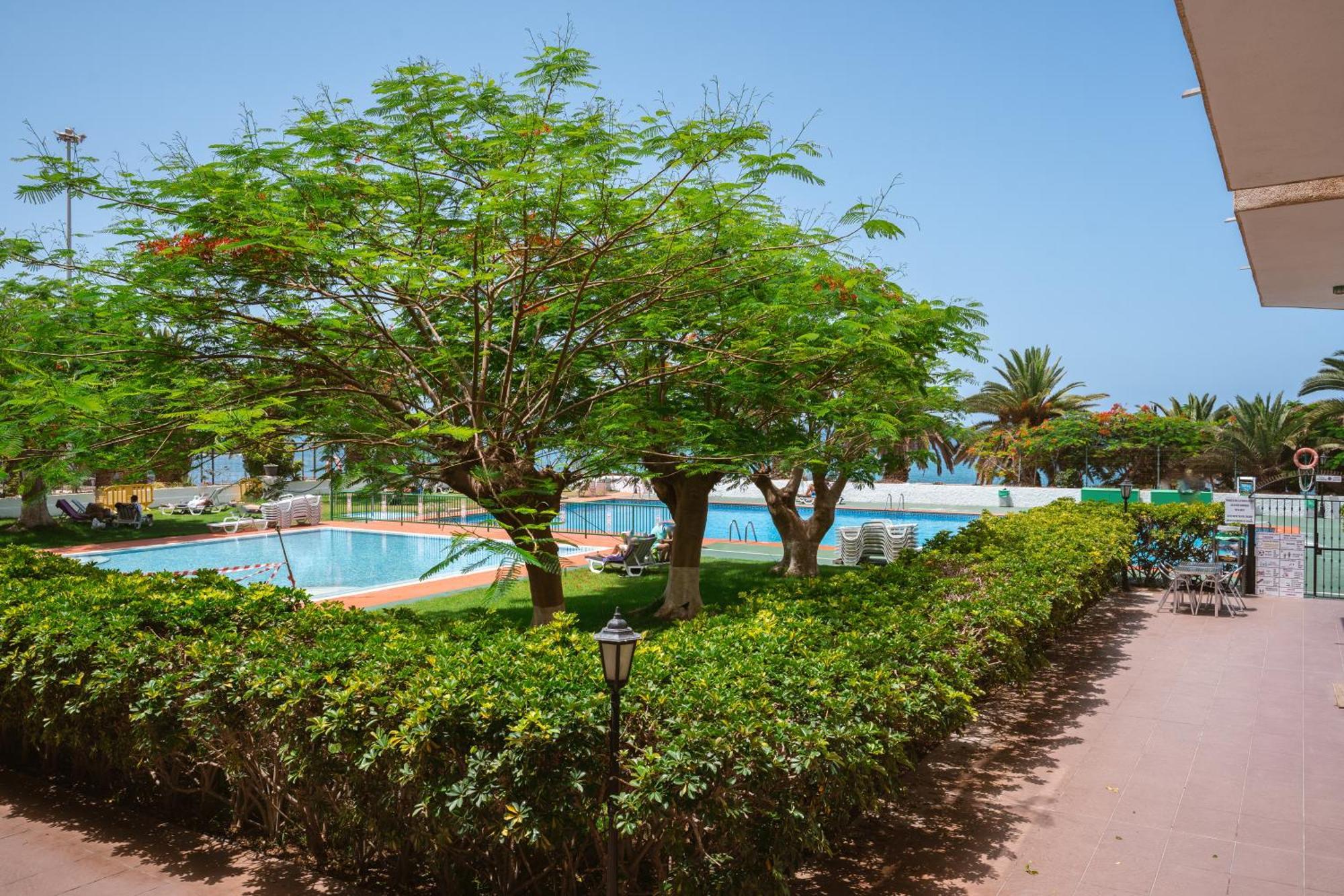 Go2Tenerife Apart'Dida Pool & First Line Of The Sea Los Cristianos  Extérieur photo